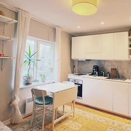 Flat In Telliskivi Area דירה